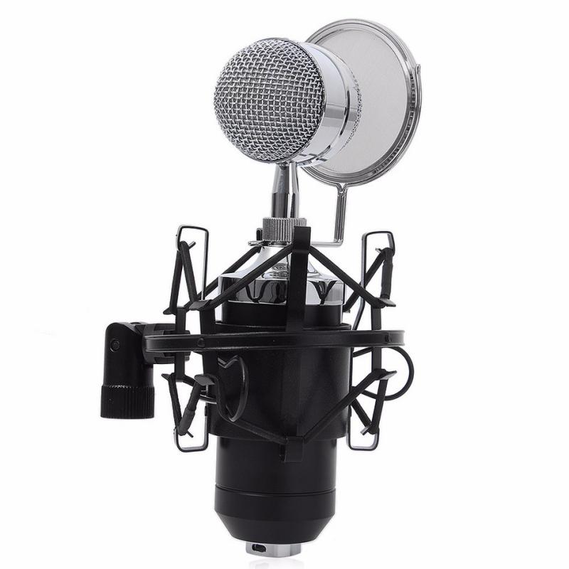 BM8000 Professional Microphone Recording Equipment Noise Reduction Recording Condenser Microphone W/ Pop Filter
